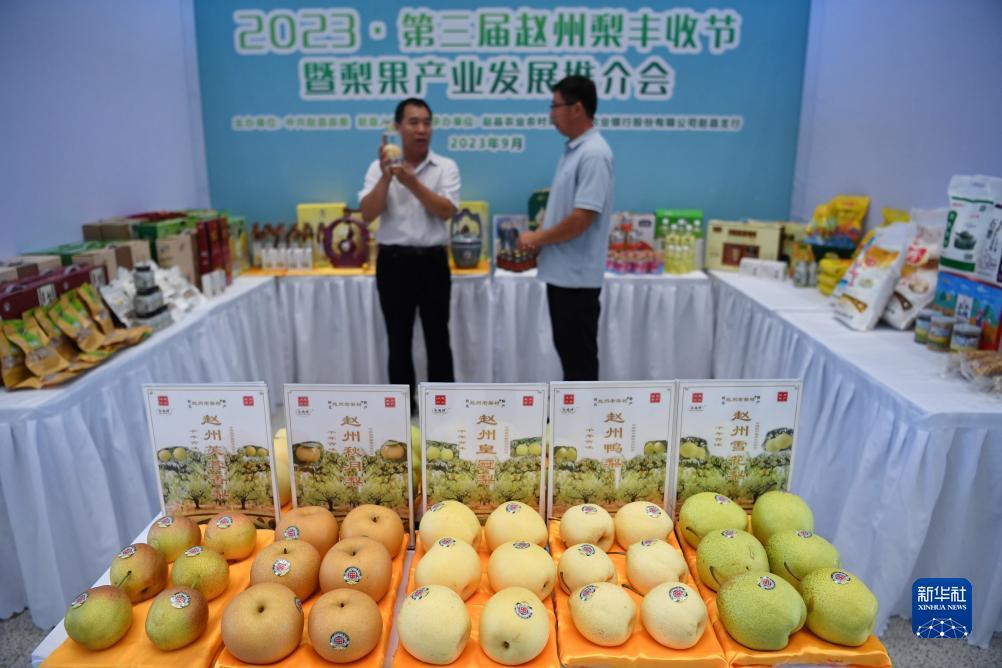 白菜视频网